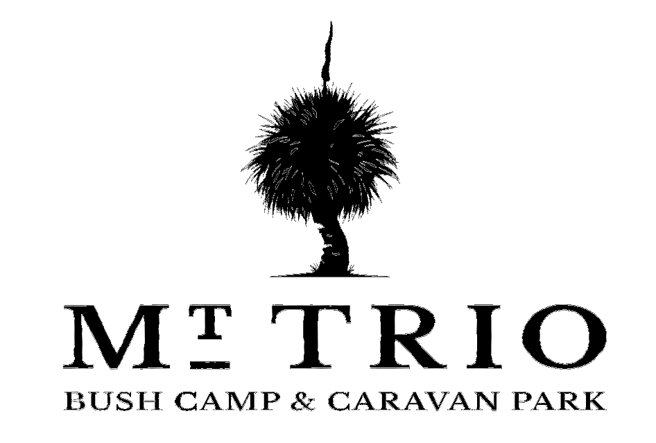 Mt trio Logo